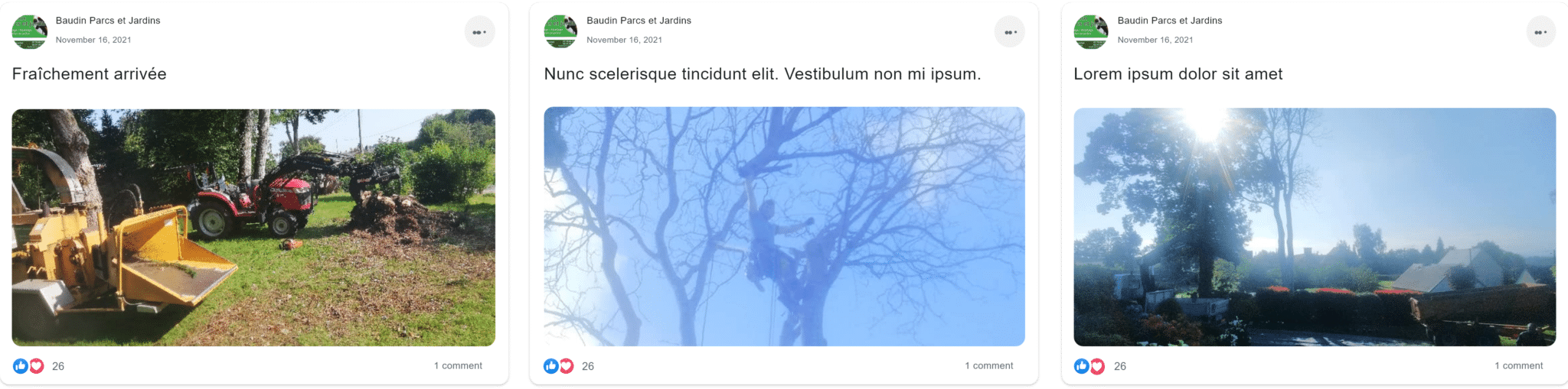feed fb